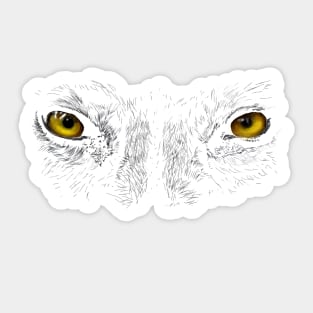 Wolf Augen Sticker